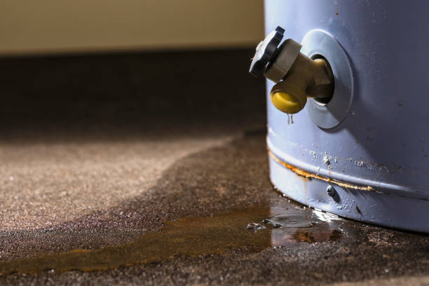 Best Ceiling water damage repair  in Libertyvle, IL