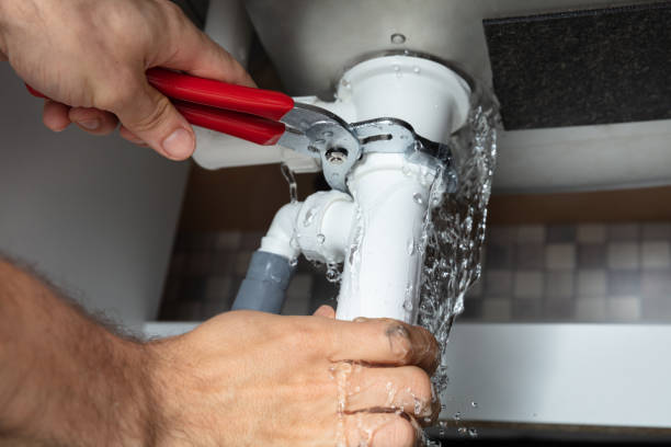 Best Water damage cleanup near me  in Libertyvle, IL
