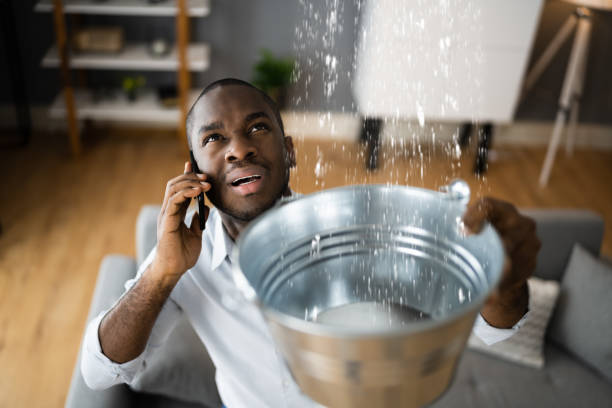 Best Mold removal after water damage  in Libertyvle, IL