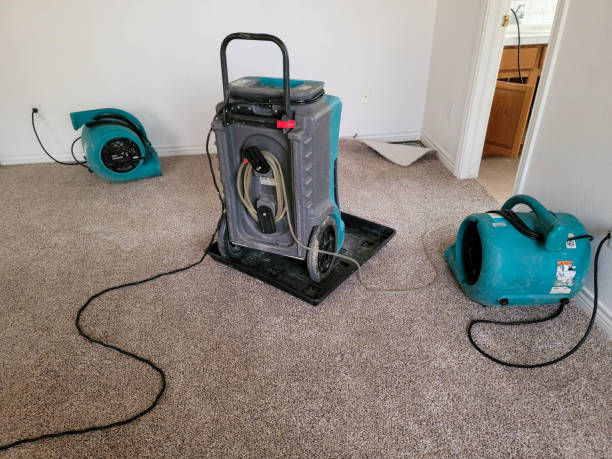 Best Basement water damage restoration  in Libertyvle, IL