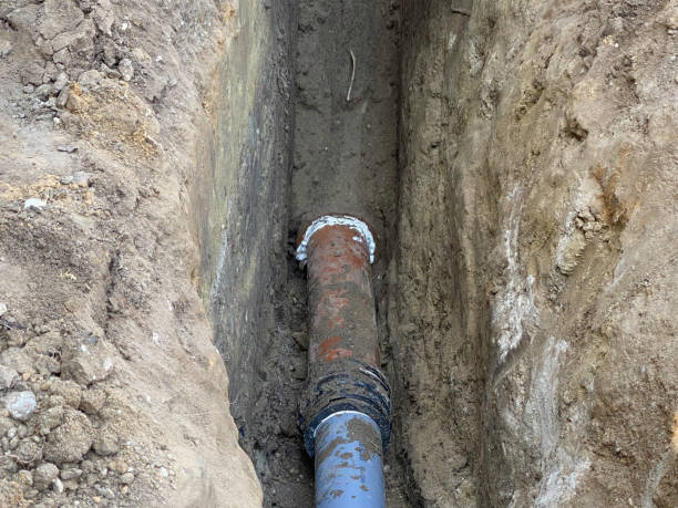 Local water damage restoration in IL
