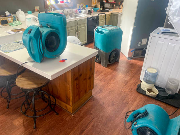 Best Water damage restoration near me  in Libertyvle, IL