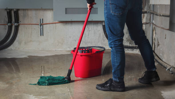 Best Sewage cleanup and water damage restoration  in Libertyvle, IL