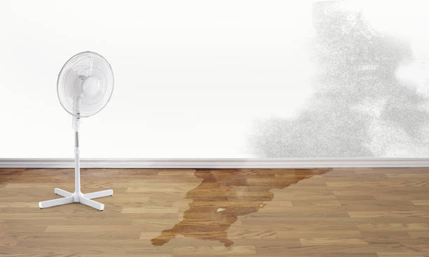 Best Residential water damage restoration  in Libertyvle, IL