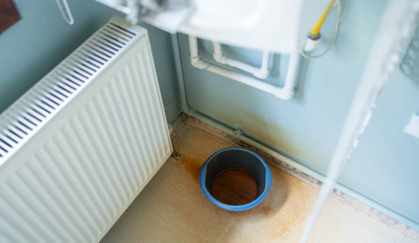 Best Local water damage restoration  in Libertyvle, IL