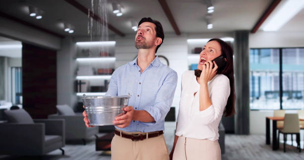 Best Flooded house restoration  in Libertyvle, IL