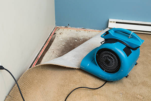 Best 24-hour water damage restoration  in Libertyvle, IL
